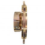 Z21.KOSMIC MERCURY RR OK